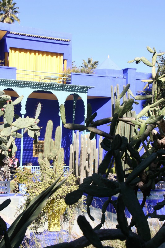 les jardins de Majorelle à Marrakech